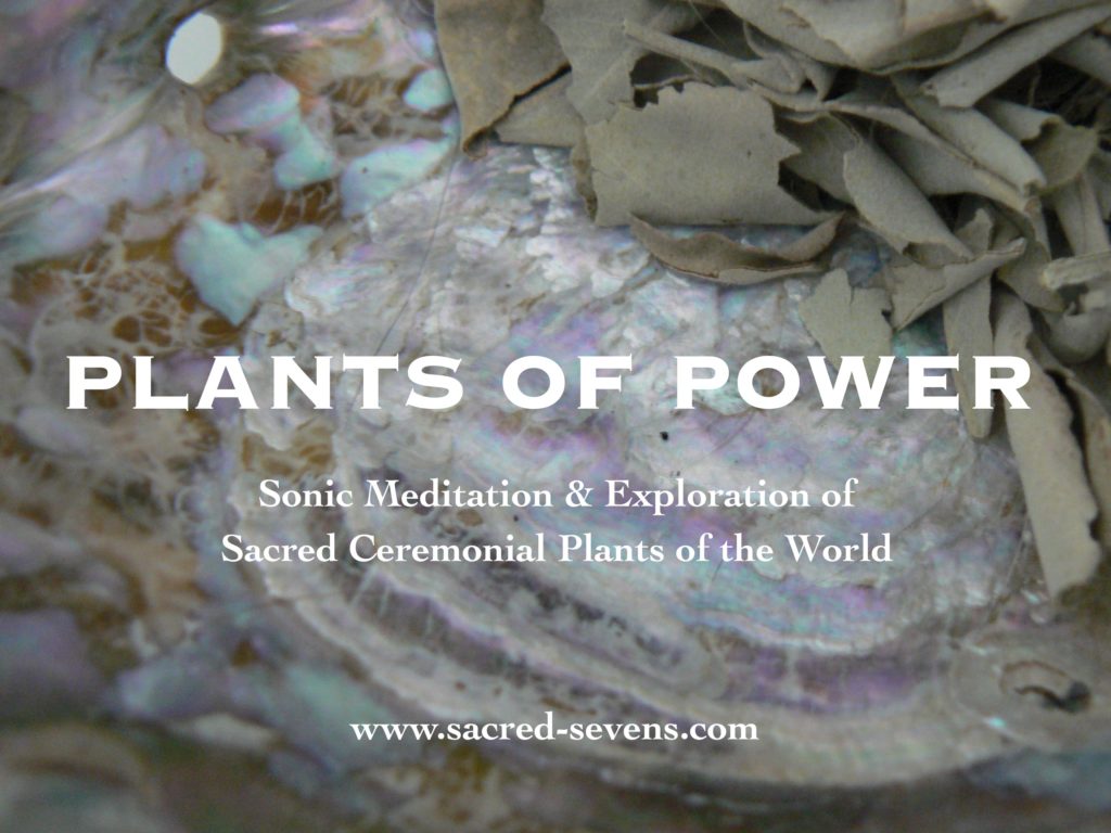 "Plants of Power" New Workshop Coming Soon !